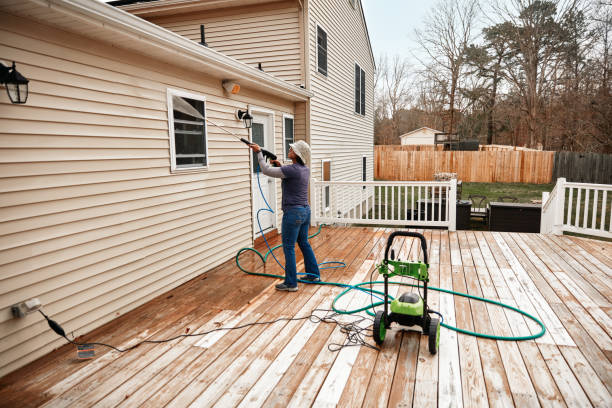 Best House Pressure Washing  in Toulon, IL