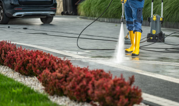 Best Exterior Home Cleaning  in Toulon, IL