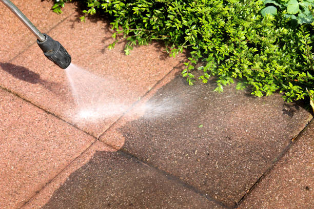 Best Power Washing Near Me  in Toulon, IL